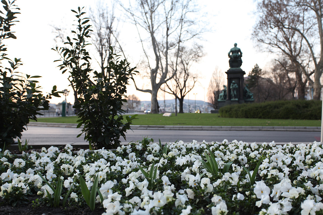 Spring is even here