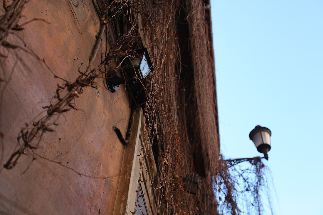 Details_rome