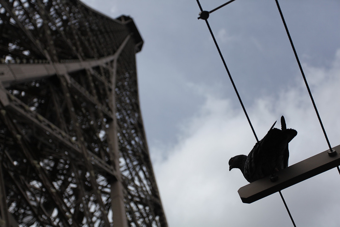 Sous_Le_Tour_Eiffel